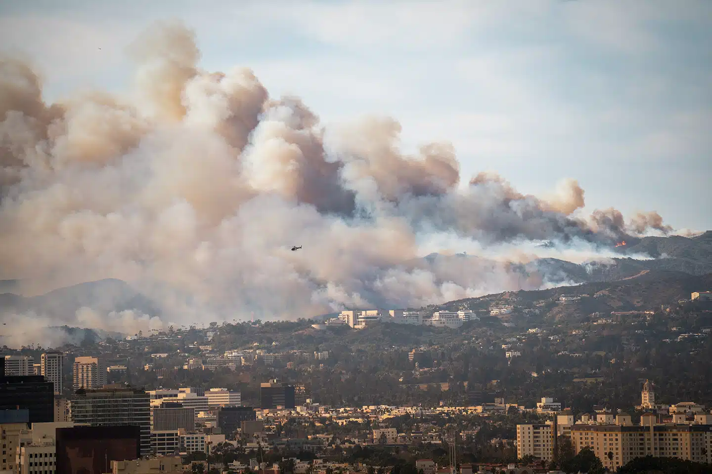 The Environmental Crisis After Wildfires: Unseen Threats in Recovery